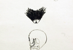 Stefano Zotti